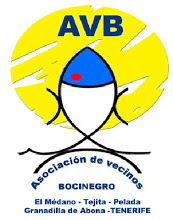 Asociación de Vecinos ‘Bocinegro’, al servicio de la población de El Médano