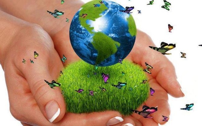 Sobre la necesidad de comprometernos con el ‘Medio Ambiente’ (I)