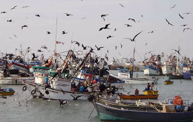 Certificado de la marca colectiva ‘Pesca Artesanal’ para la Lonja Pesquera y el Restaurante Los Abrigos