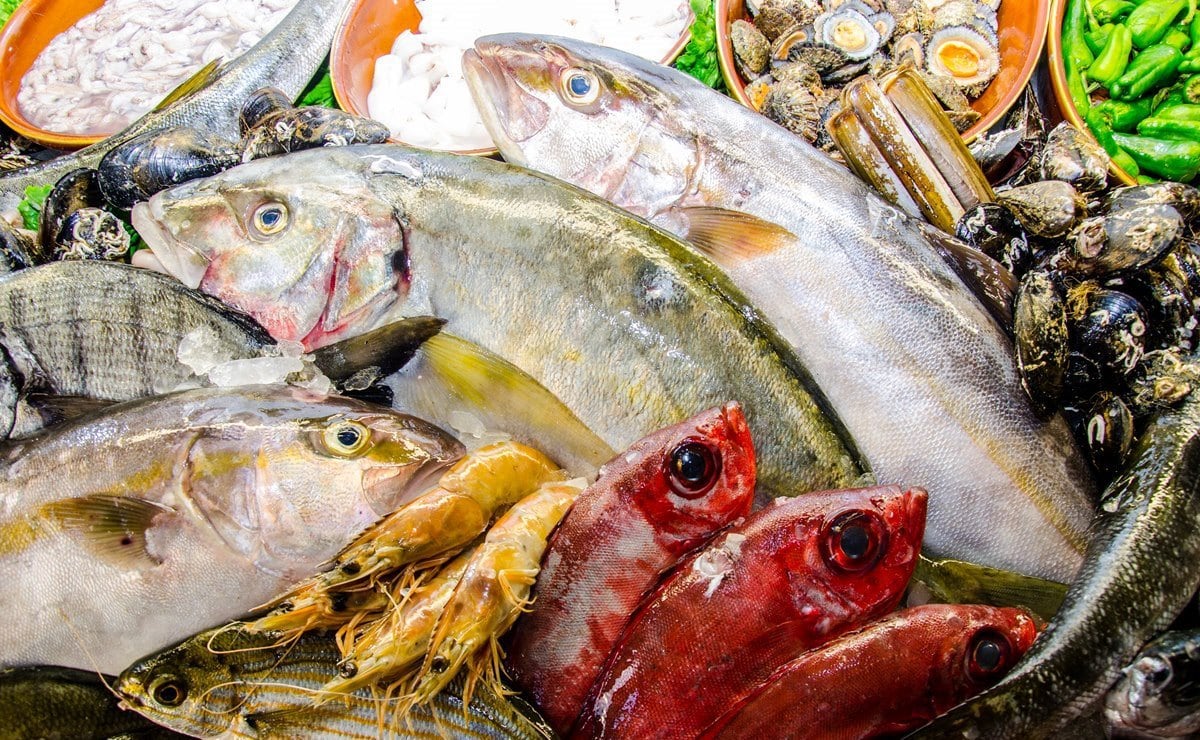 El valor de nuestro pescado como patrimonio gastronómico en ‘Sensaciones Más que Mar’