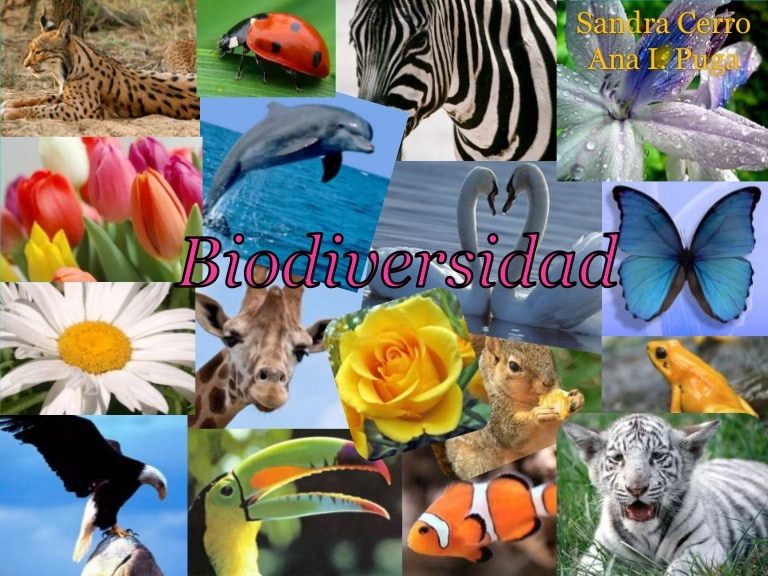La conservación de la ‘Diversidad Biológica’, un compromiso urgente de tod@s