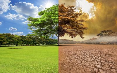La urgencia de actuar contra el ‘cambio climático’ con propuestas ‘sostenibles’ (I)